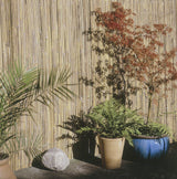 https://www.accesstoretail.com/uploads/partimages/Natural%20Screening_Half%20Bamboo_1024.jpg
