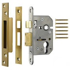 https://www.accesstoretail.com/uploads/partimages/NonBSEuroshieldSash_100818_250.jpg