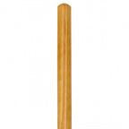 https://www.accesstoretail.com/uploads/partimages/PA98113_250.jpg