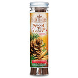 Scentsicles Scented Ornament Sticks – Spiced Pine Cones