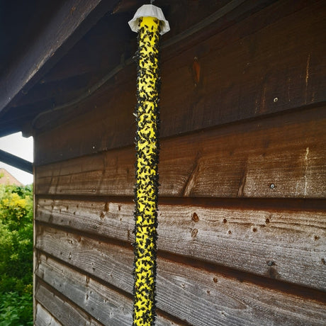 Ultra Power Fly Stick Large adhesive fly trap product shot