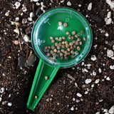Handheld dial seed sower with its clear seed compartment filled and resting on potting compost, ready to dispense individual seeds.