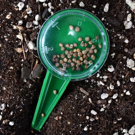 Handheld dial seed sower with its clear seed compartment filled and resting on potting compost, ready to dispense individual seeds.