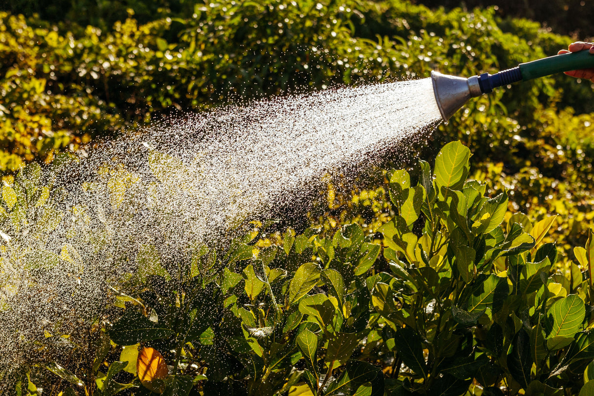 Diluting Patio Magic concentrate with water before applying to a patio