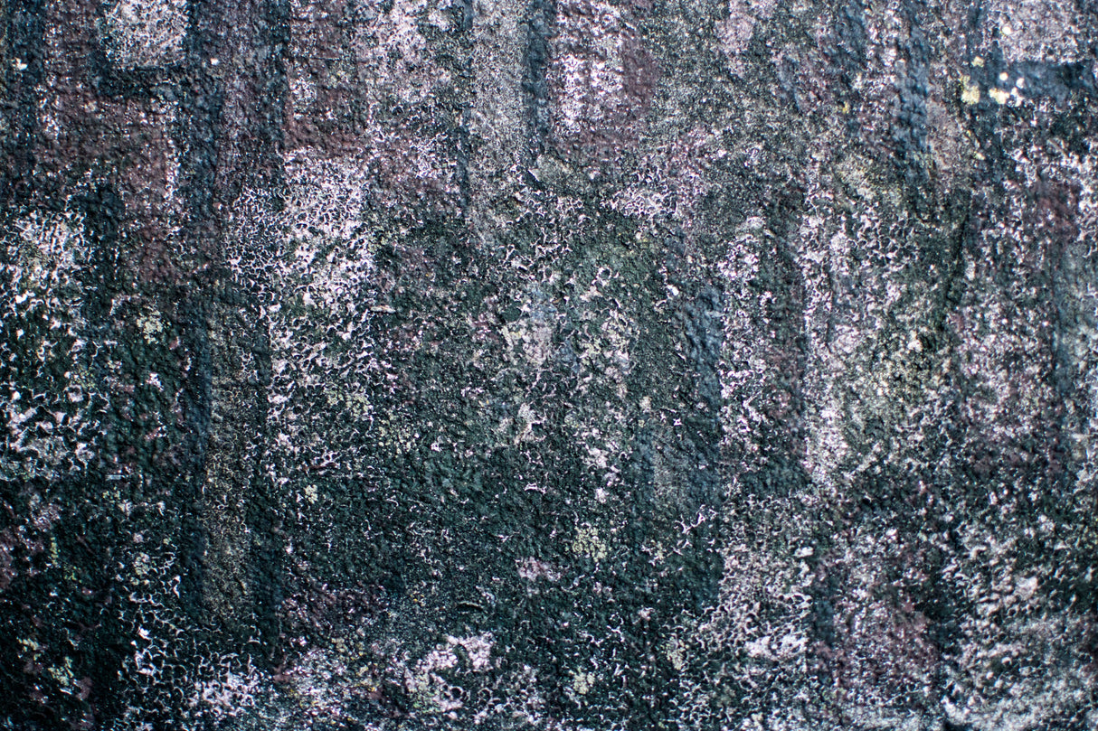Green moss and algae build-up on a patio slab before treatment with Patio Magic