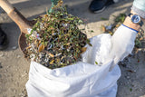 Filling a reusable woven rubble sack with garden waste