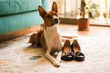 Dog lying comfortably on a rug in a pet friendly living room