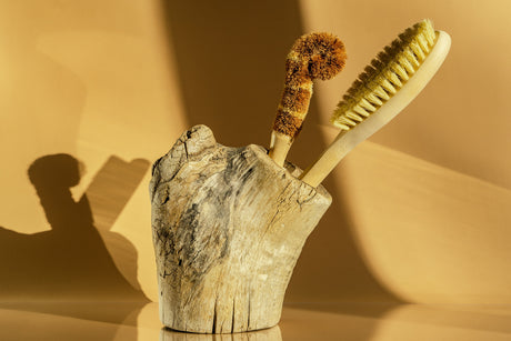 Soft natural bristle brushes with wooden handles for dusting before painting
