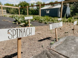 Wooden T shaped plant labels marking spinach and broccoli rows in an organic vegetable garden bed