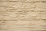 Close up of a textured beige brick masonry wall suited to the Purdy Colossus 18 inch 1/2 inch nap roller sleeve