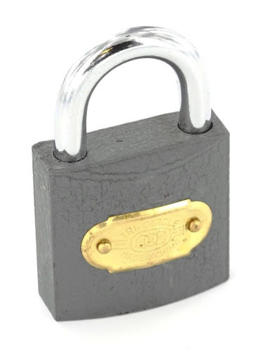 Securit Tricircle Iron Padlock Brass Cylinder - 32mm - B1120