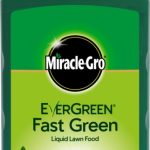 Miracle-Gro® Evergreen Fast Green - 1L Concentrate - 119685