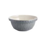 Mason Cash Colour Mix Mixing Bowl - Grey - 2002.201